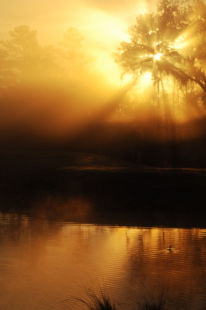 southernhillsgolfclub0066